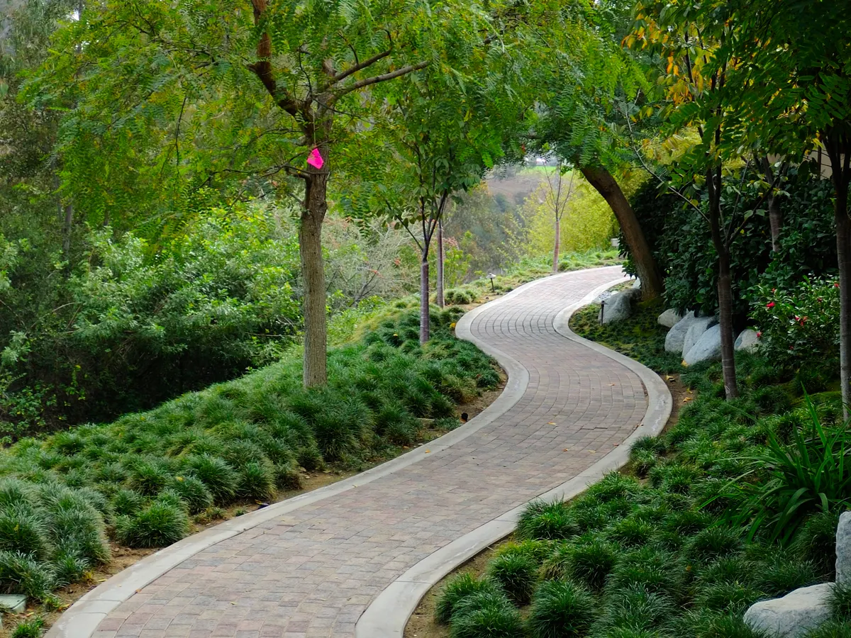 Paths steps